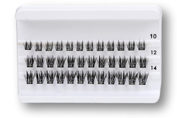 Daily-Lashes - Lady Glamour